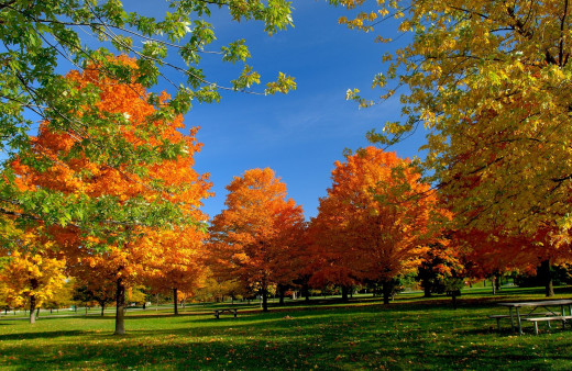539735 (a): :2560x1661